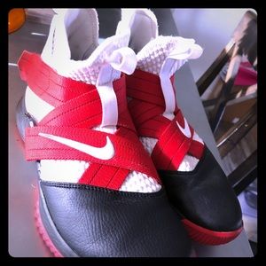 Nike Custom LeBrons size 8.5